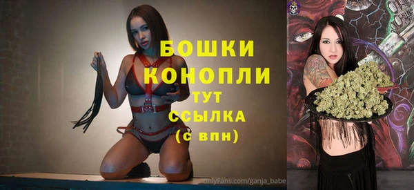 ПСИЛОЦИБИНОВЫЕ ГРИБЫ Богородицк