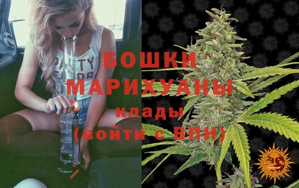 ПСИЛОЦИБИНОВЫЕ ГРИБЫ Богородицк