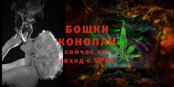 Альфа ПВП Богородск